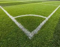 世界杯精英,教练阵容齐,梅西心中英,世界杯竞猜,2026世界杯,竞猜技巧,赔率分析,体育博彩