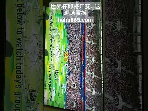 詹姆斯传球,失误被断,怀特反击轻,世界杯竞猜,2026世界杯,竞猜技巧,赔率分析,体育博彩